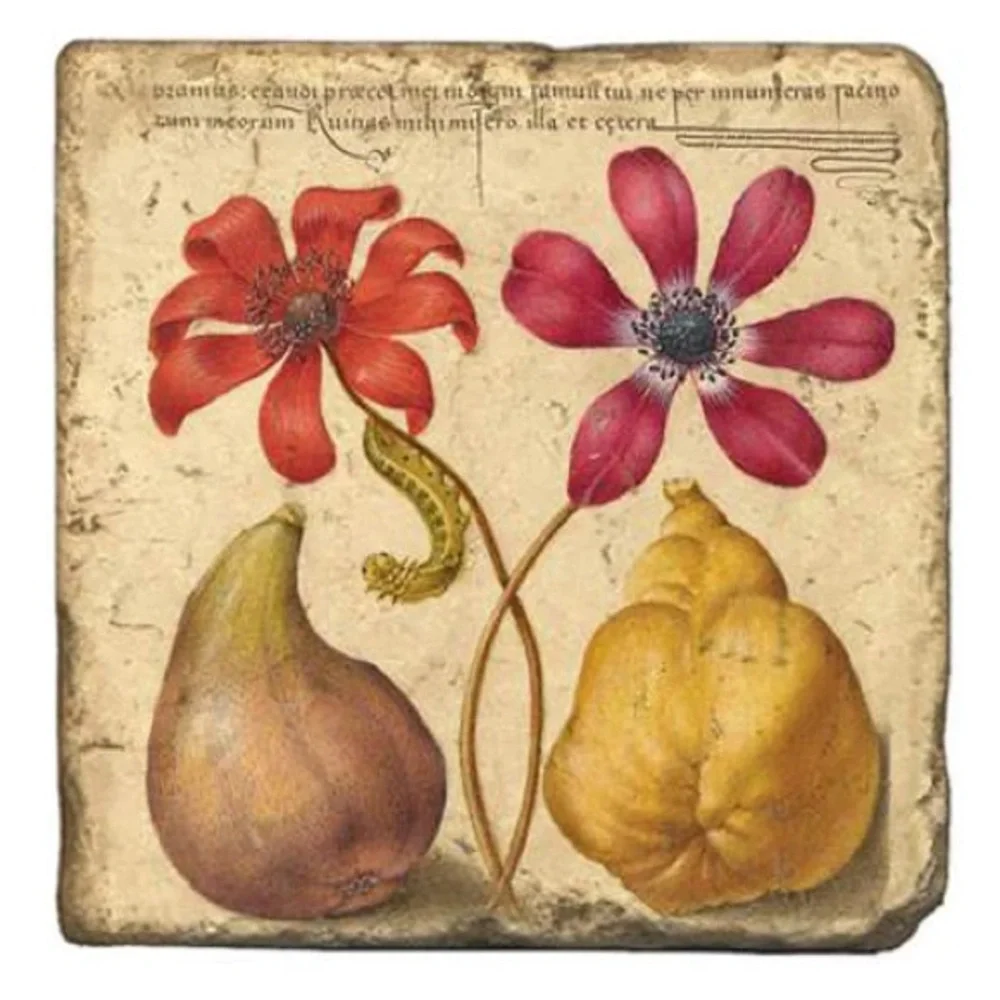 Joris Hoefnagel Floral Coasters, Set of 2, NWT